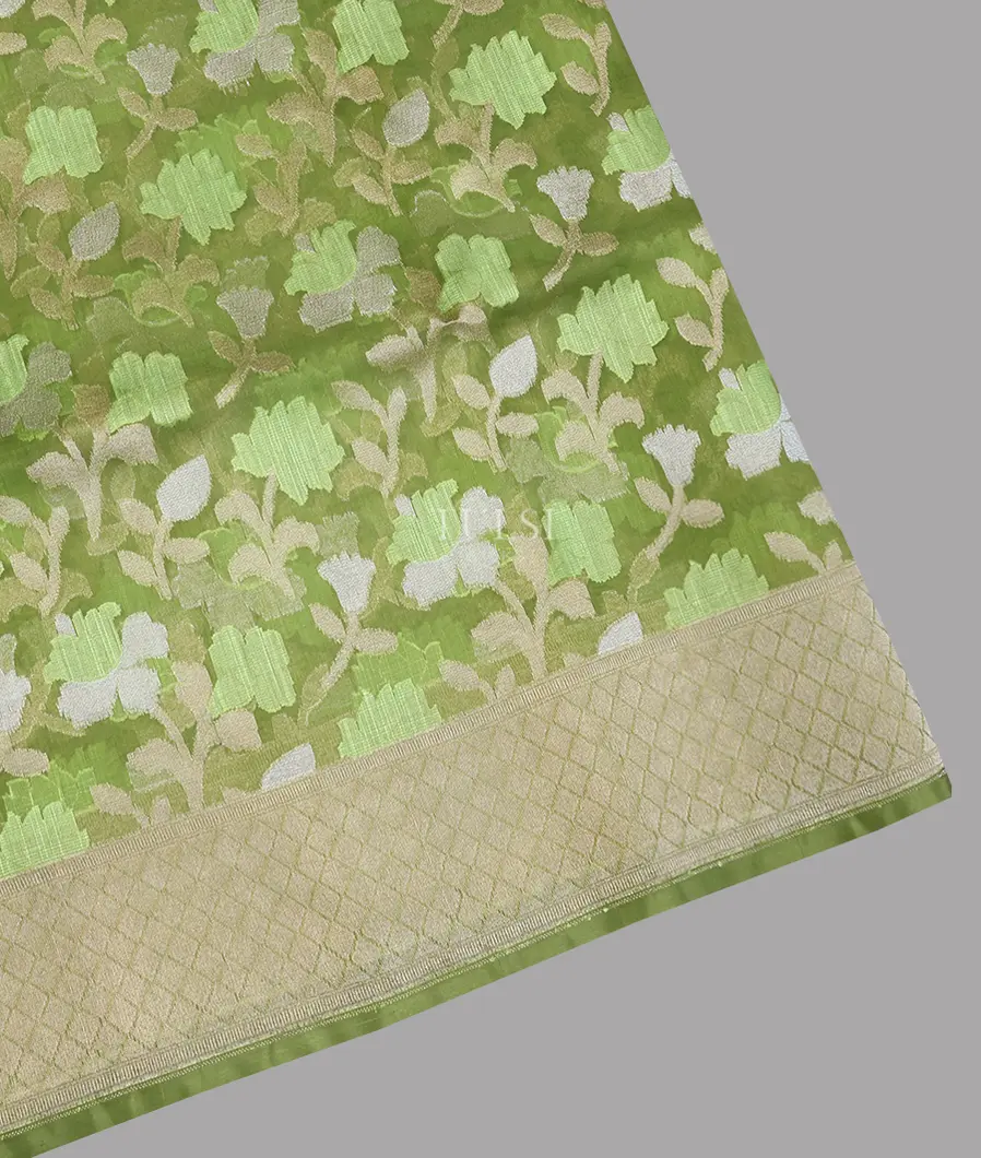 Green Banaras Organza Saree T626153-image
