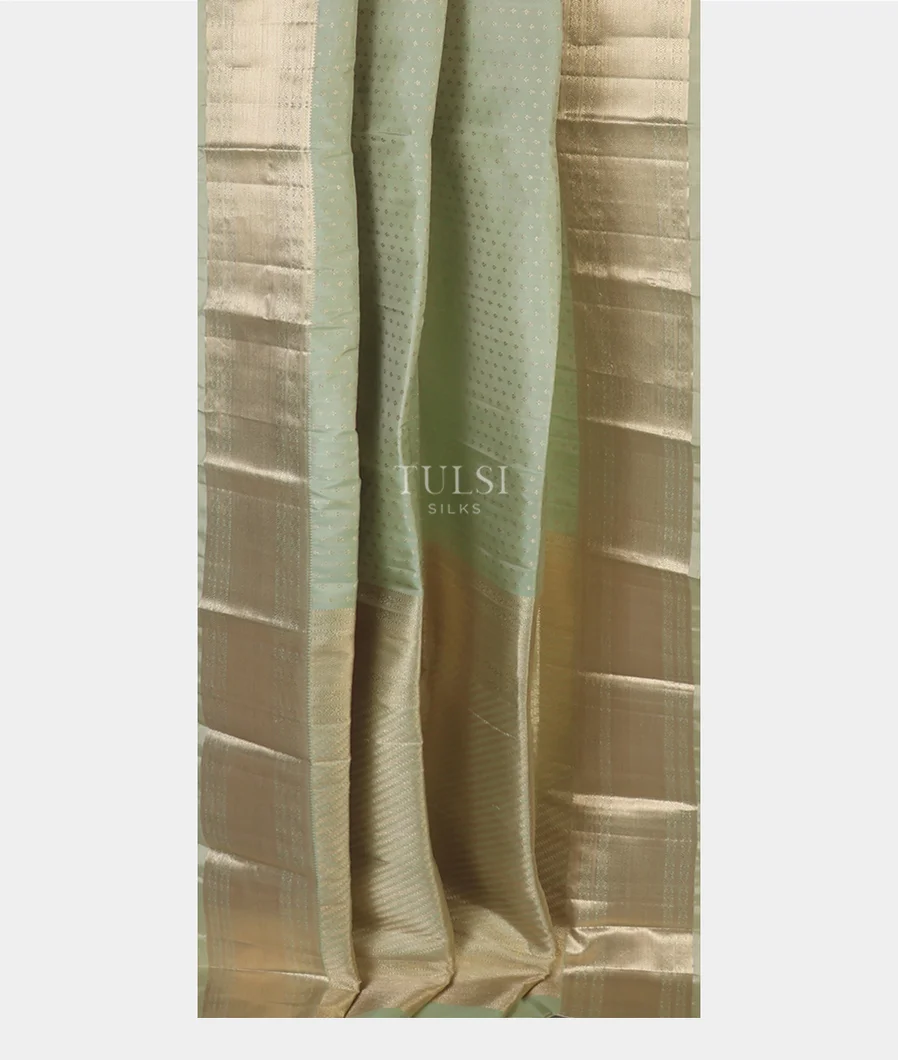 greeenish-grey-kanjivaram-silk-saree-t626218-t626218-b