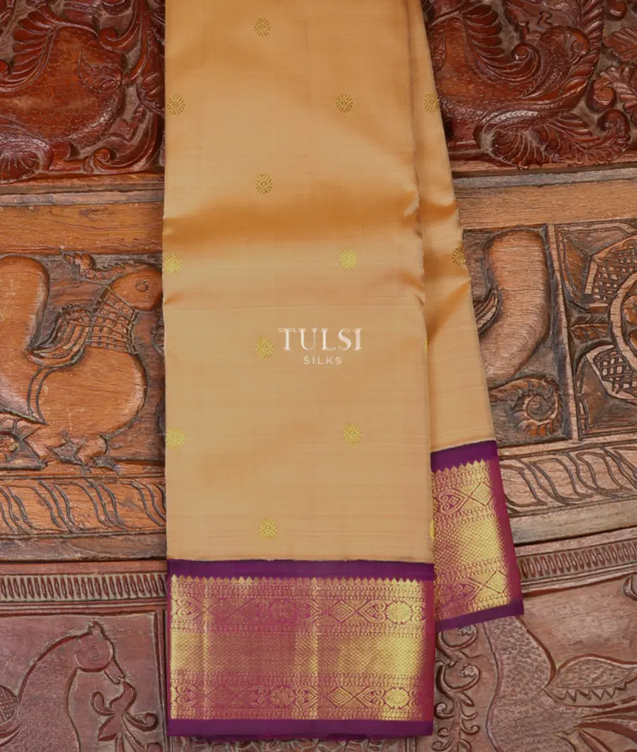 Beige Kanjivaram Silk Saree T624154-image