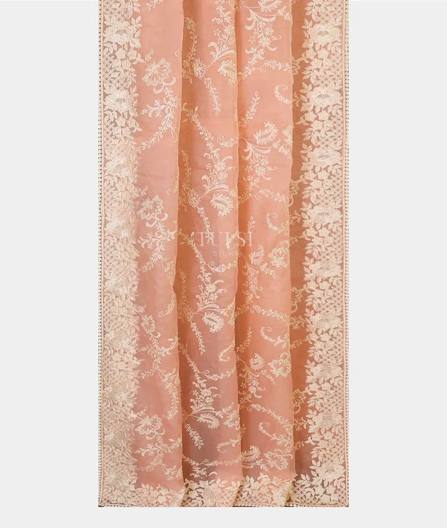 peach-kora-organza-embroidery-saree-t621892-t621892-b