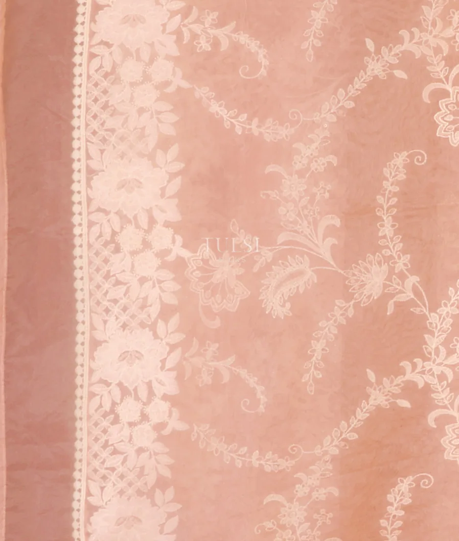 peach-kora-organza-embroidery-saree-t621892-t621892-c