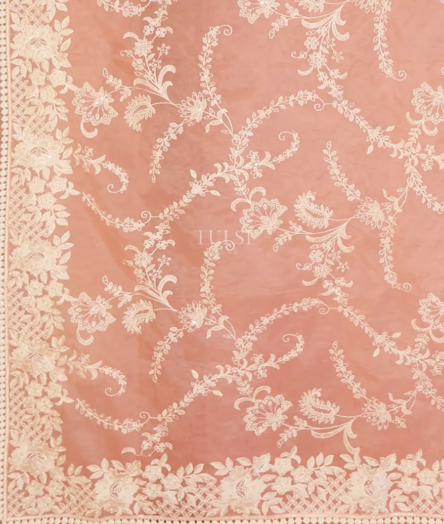 peach-kora-organza-embroidery-saree-t621892-t621892-d