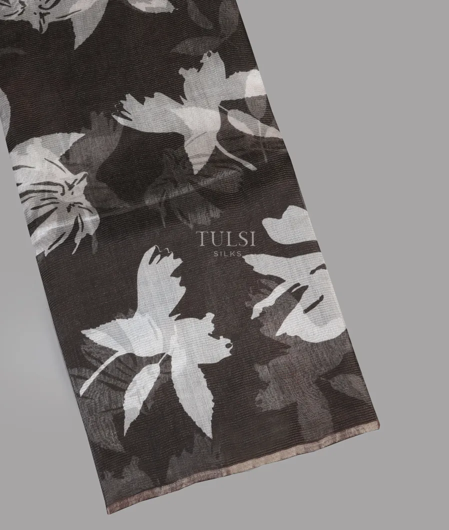 Black Tissue Organza Printed Saree T614975-image