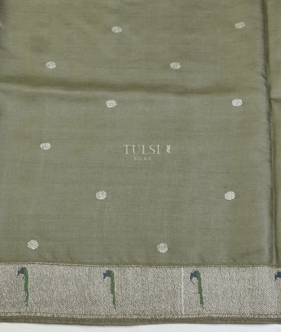 greenish-grey-tussar-embroidery-saree-t547193-t547193-c
