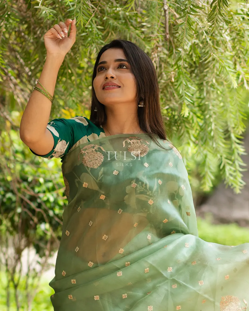 green-kora-organza-embroidery-saree-t631216-t631216-d