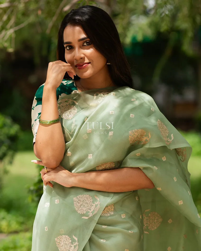 green-kora-organza-embroidery-saree-t631216-t631216-e