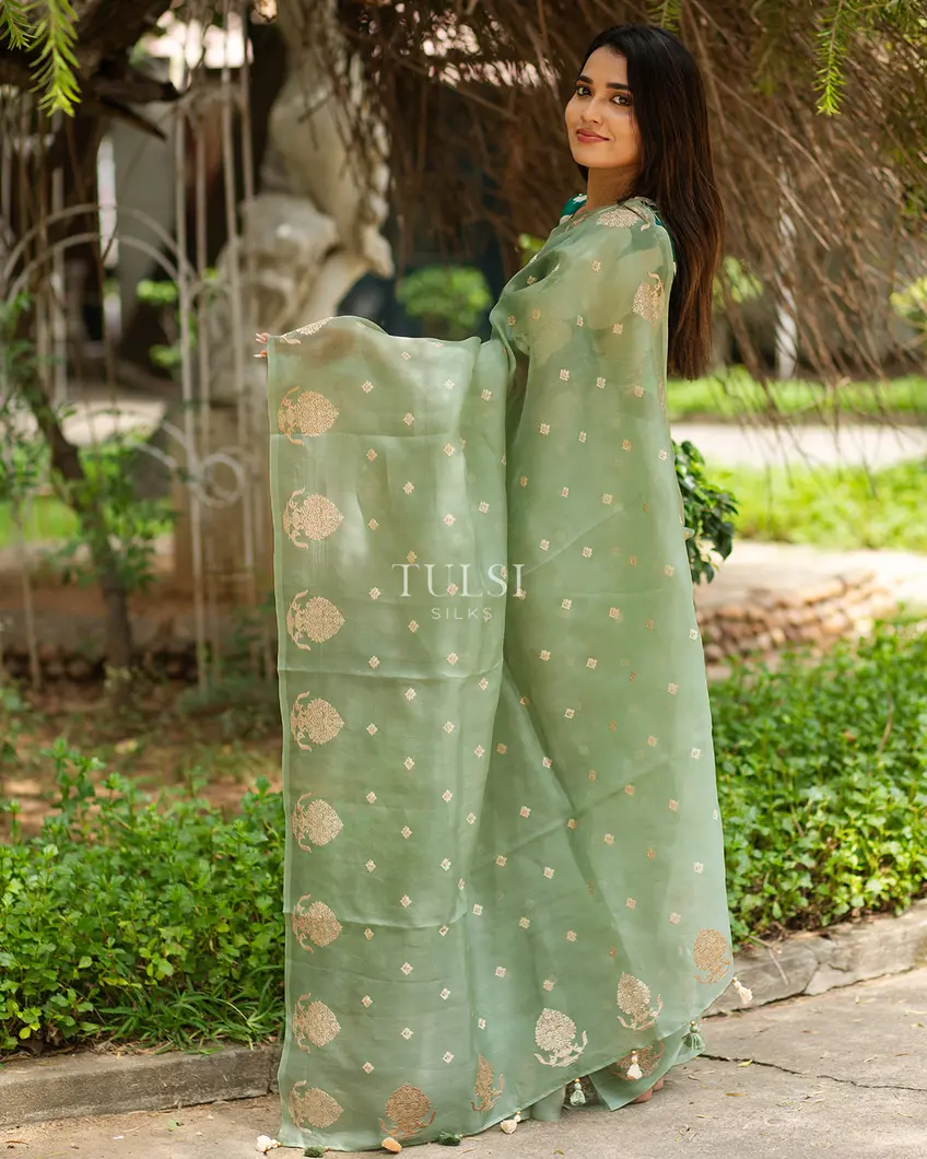 green-kora-organza-embroidery-saree-t631216-t631216-f
