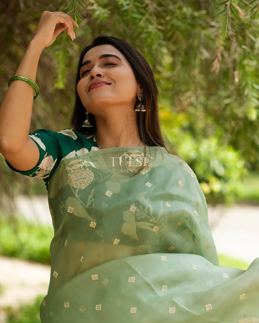 green-kora-organza-embroidery-saree-t631216-t631216-h