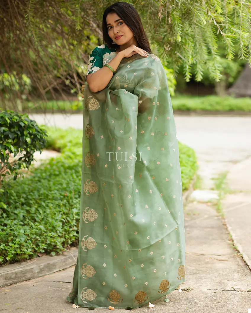 green-kora-organza-embroidery-saree-t631216-t631216-j