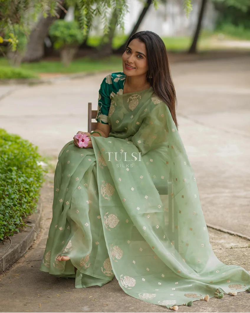 green-kora-organza-embroidery-saree-t631216-t631216-l