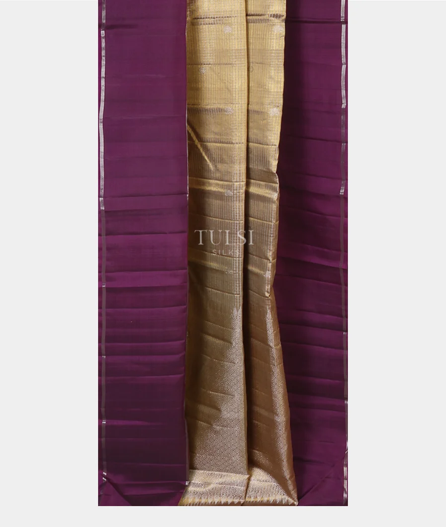 greyish-gold-tissue-kanjivaram-silk-saree-t632421-t632421-b