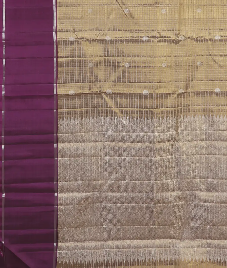 greyish-gold-tissue-kanjivaram-silk-saree-t632421-t632421-d