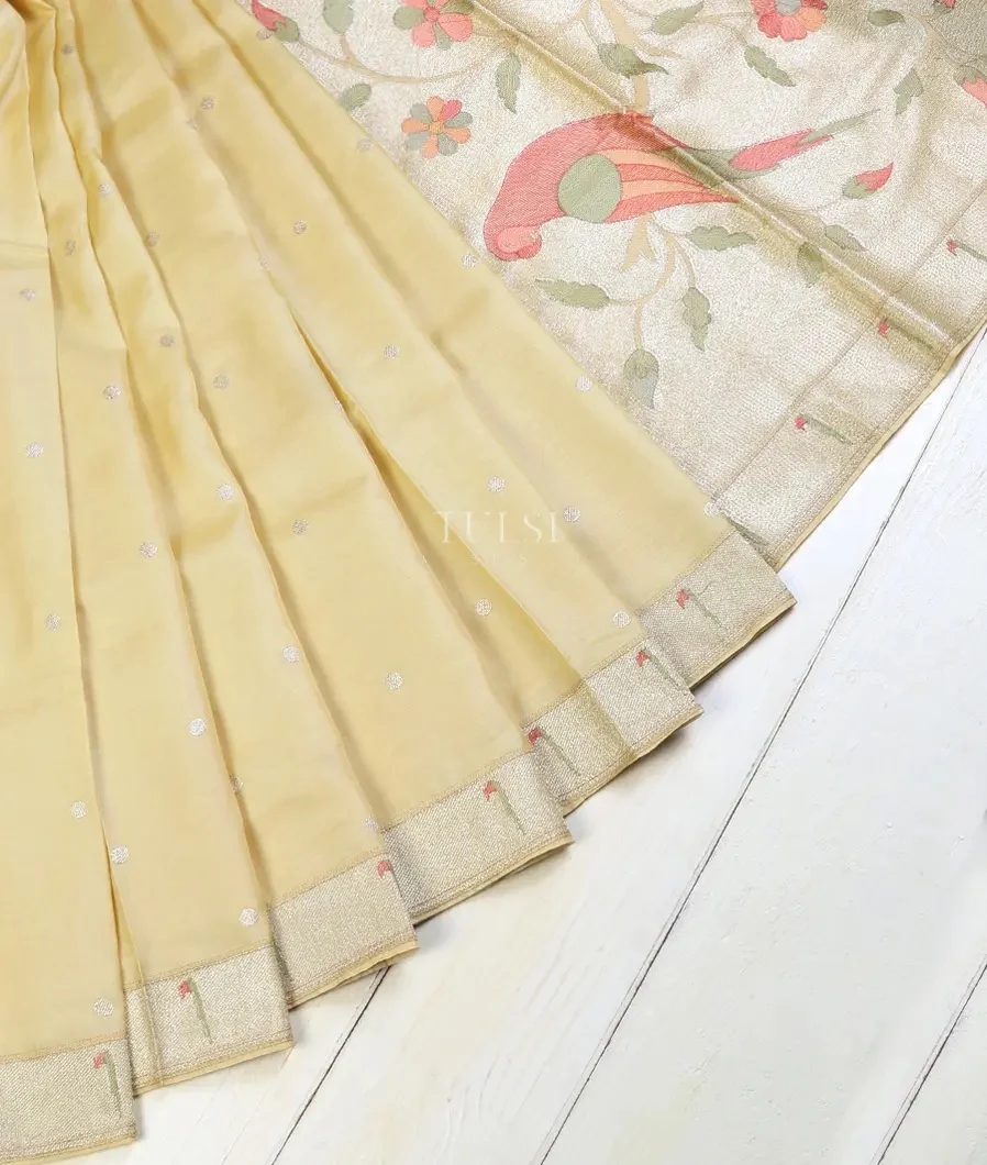 pale-yellow-tussar-embroidery-saree-t572034-t572034-b