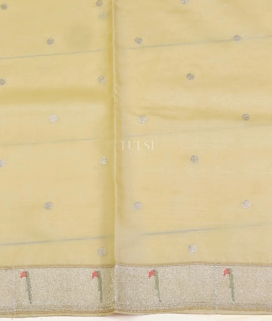 pale-yellow-tussar-embroidery-saree-t572034-t572034-c