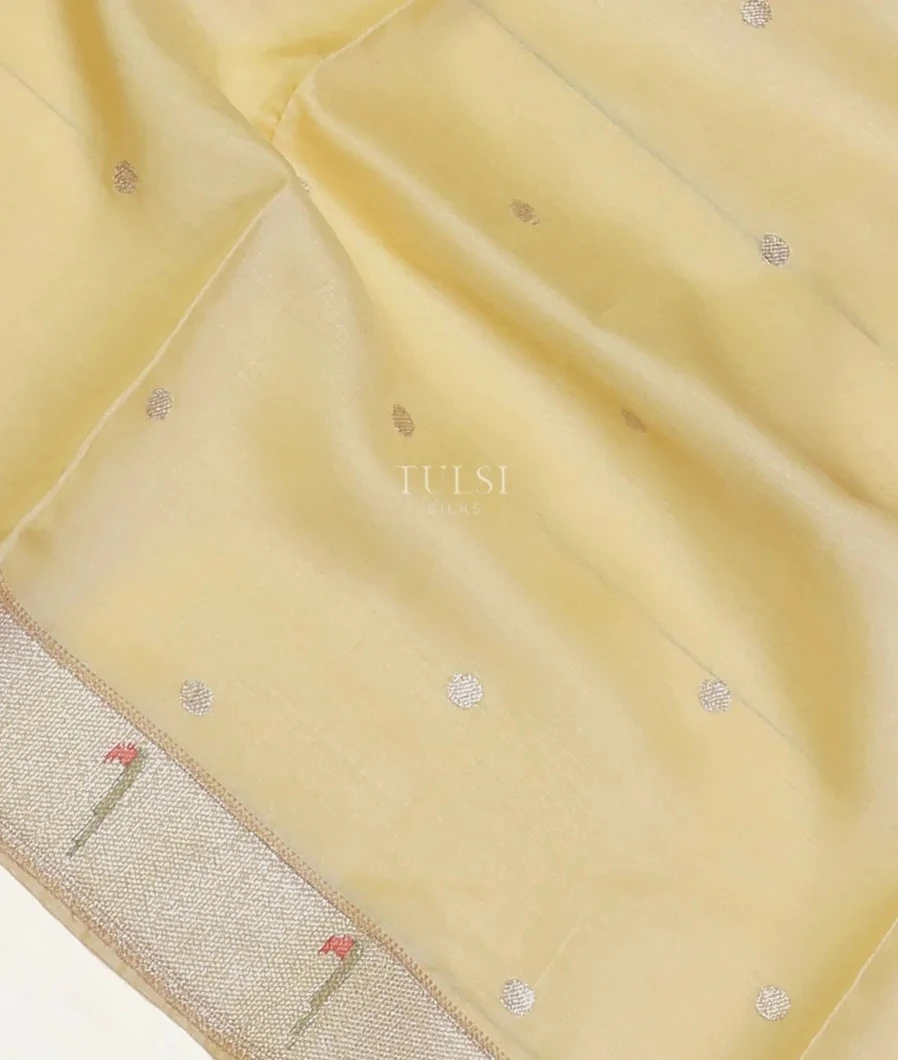 pale-yellow-tussar-embroidery-saree-t572034-t572034-e