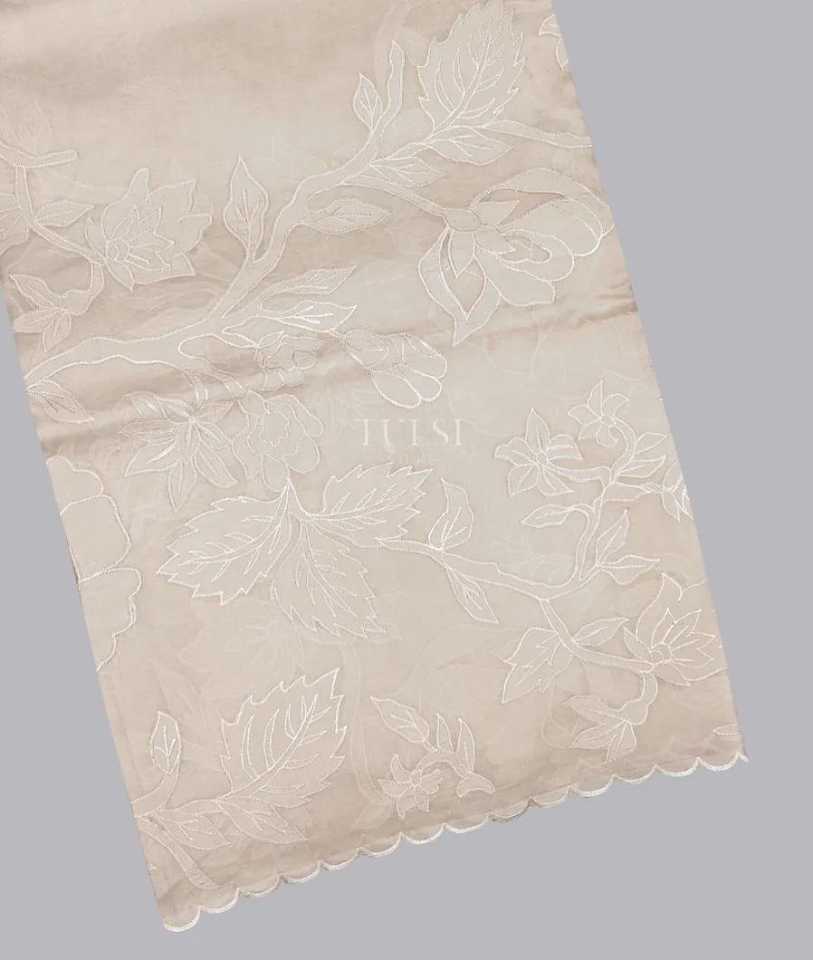 Off-White Kora Organza Embroidery Saree T615153-image