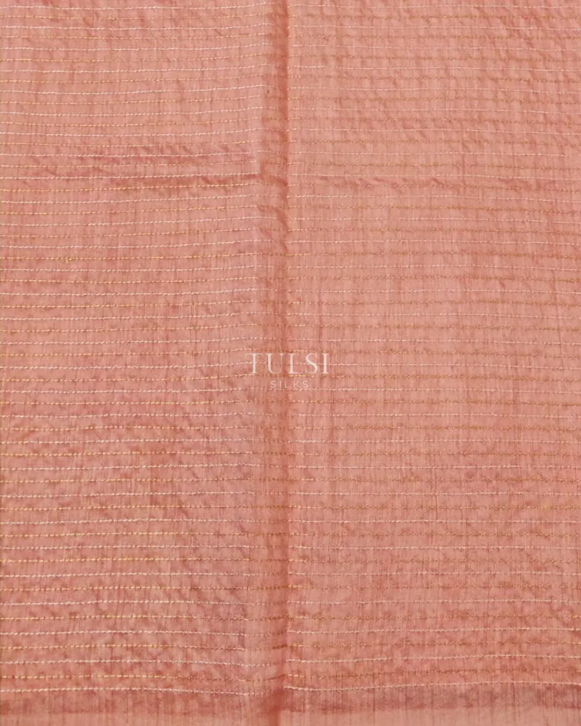 light-beige-tussar-embroidery-saree-t604274-t604274-c