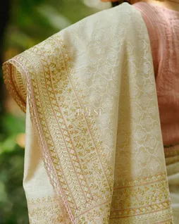 light-beige-tussar-embroidery-saree-t604274-t604274-h