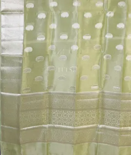 light-green-banaras-tissue-organza-saree-t619577-t619577-d