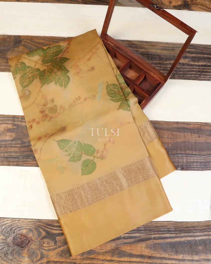 Beige Banaras Kathan Silk Saree T634500-image