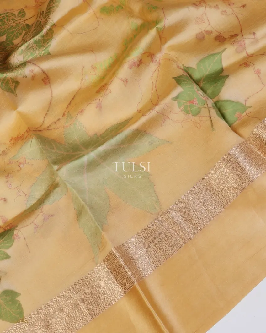 beige-banaras-kathan-silk-saree-t634500-t634500-e