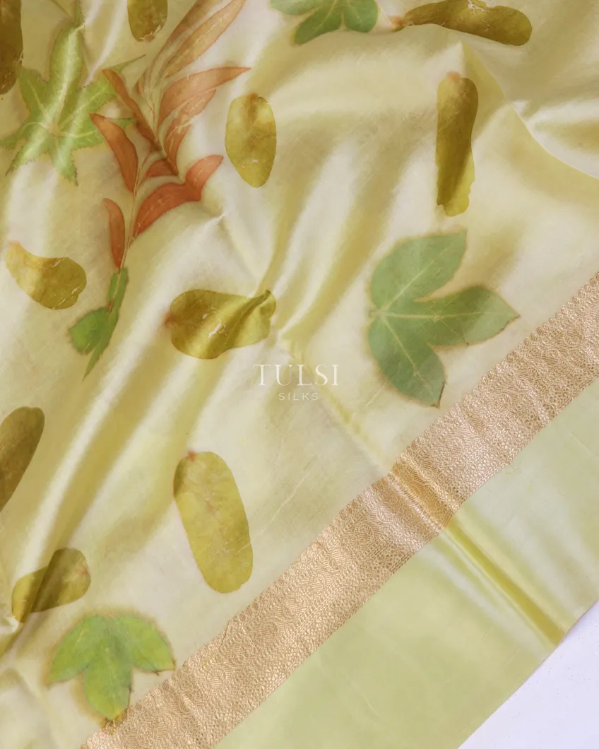 green-banaras-kathan-silk-saree-t625720-t625720-e