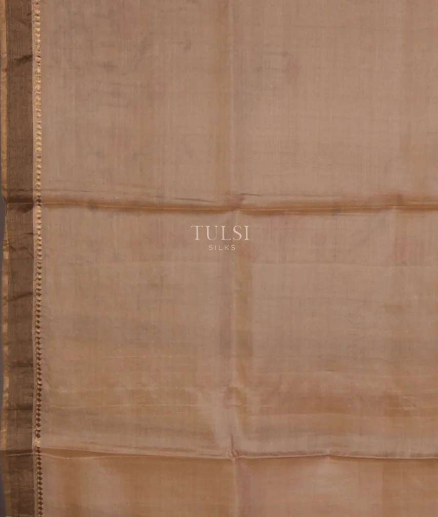 beige-tussar-printed-saree-t549075-t549075-c
