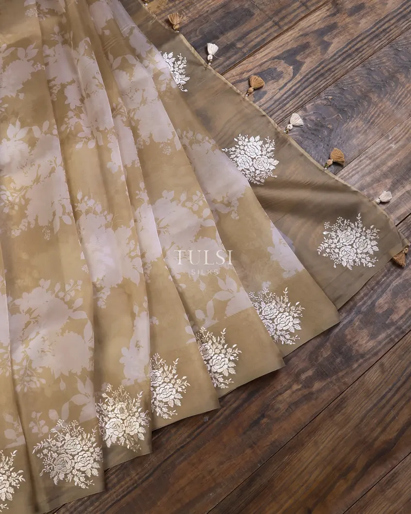 beige-kora-organza-printed-saree-t634881-t634881-b