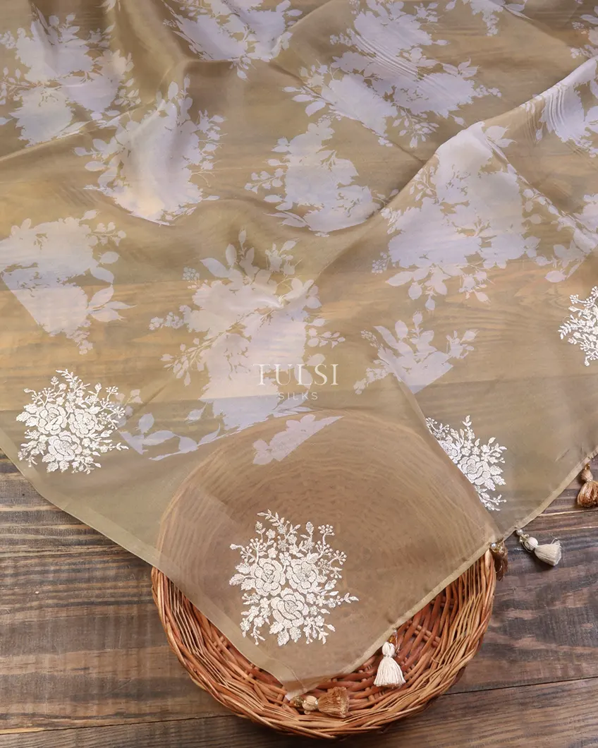 beige-kora-organza-printed-saree-t634881-t634881-d