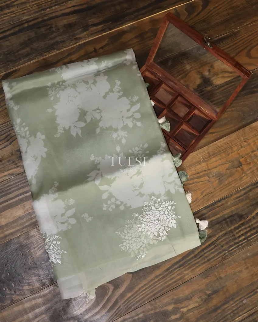 Green Kora Organza Printed Saree T634887-image