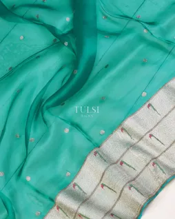 green-kora-organza-embroidery-saree-t638407-t638407-f