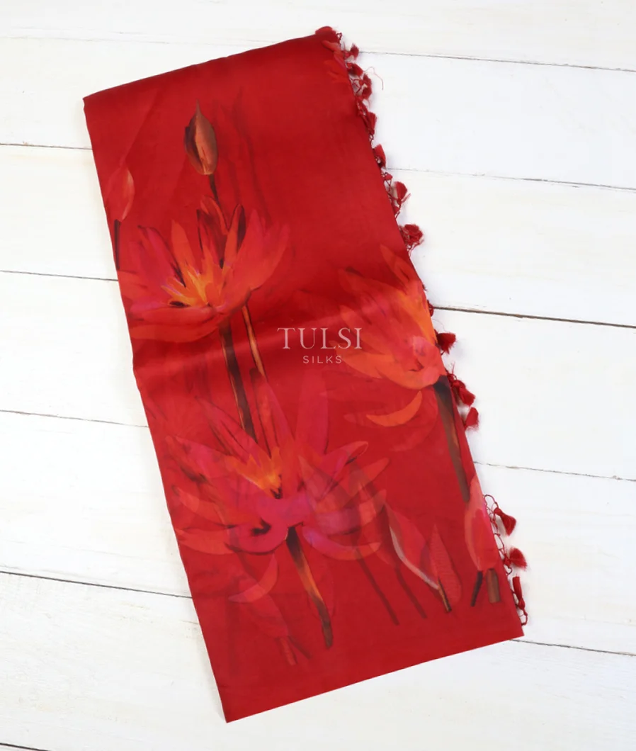 Red Kora Organza Printed Saree T634364-image