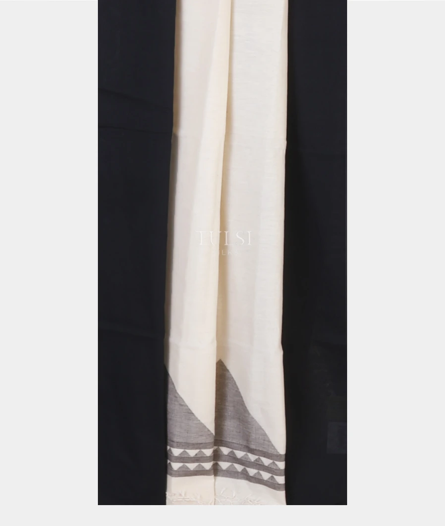 off-white-tussar-cotton-saree-t617988-t617988-b