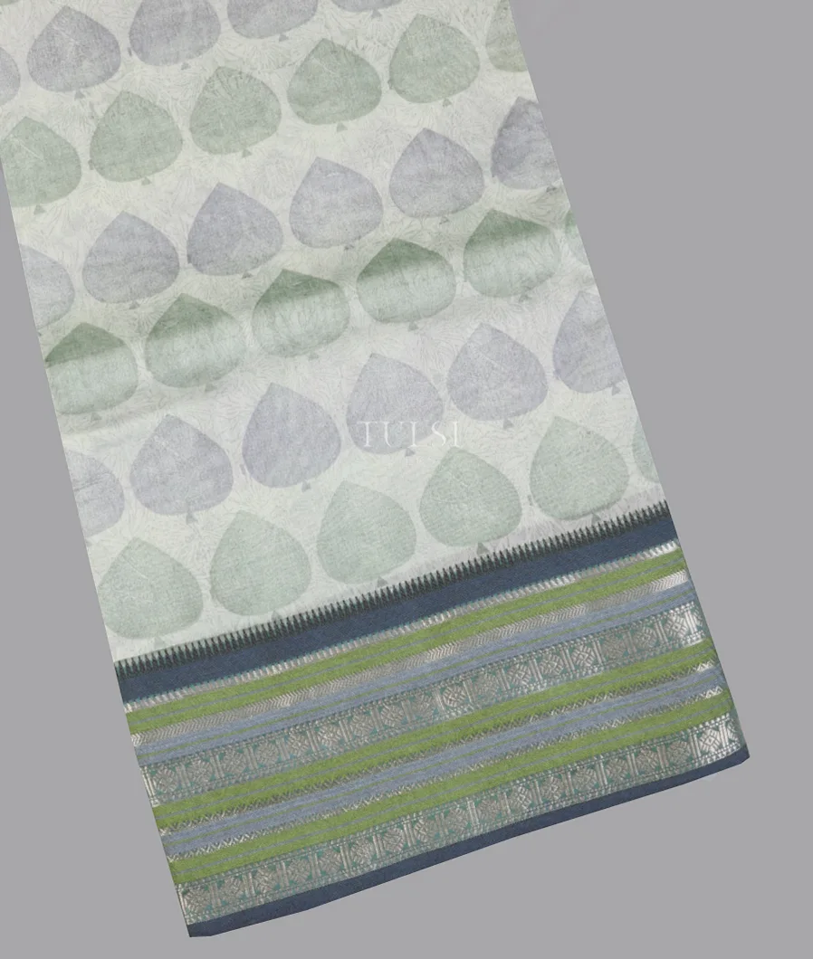 Off - White Chanderi Cotton Saree T631748-image