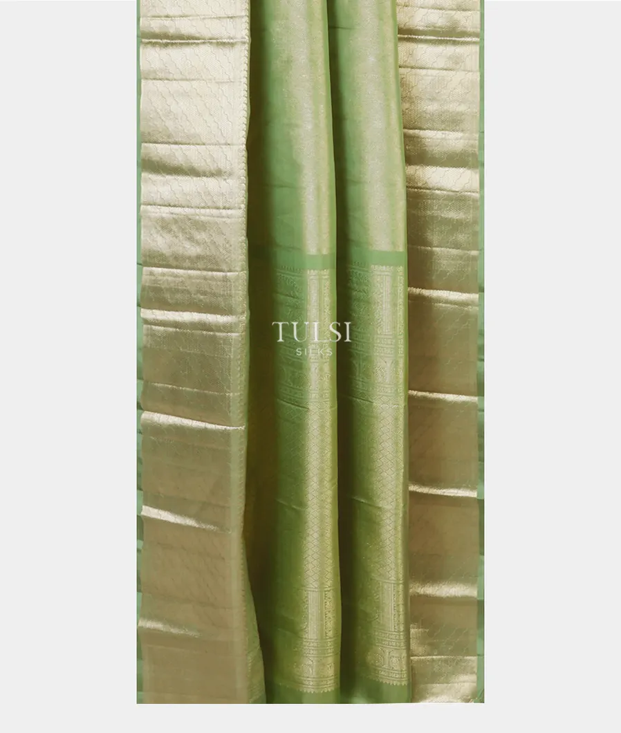 green-kanjivaram-silk-saree-t599139-t599139-b