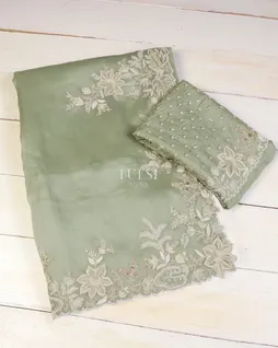 light-green-kora-organza-embroidery-saree-t621910-t621910-a