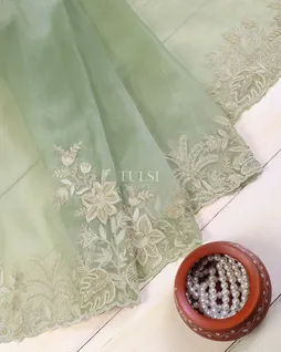 light-green-kora-organza-embroidery-saree-t621910-t621910-b