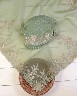 light-green-kora-organza-embroidery-saree-t621910-t621910-d