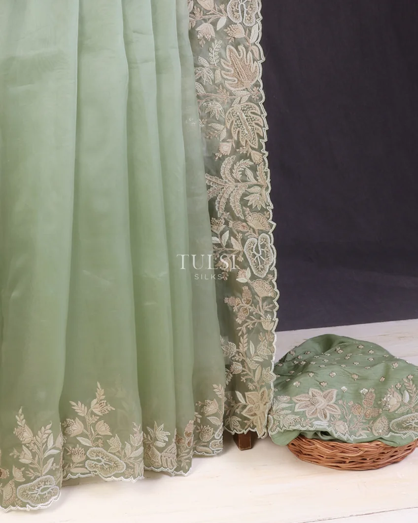 light-green-kora-organza-embroidery-saree-t621910-t621910-e