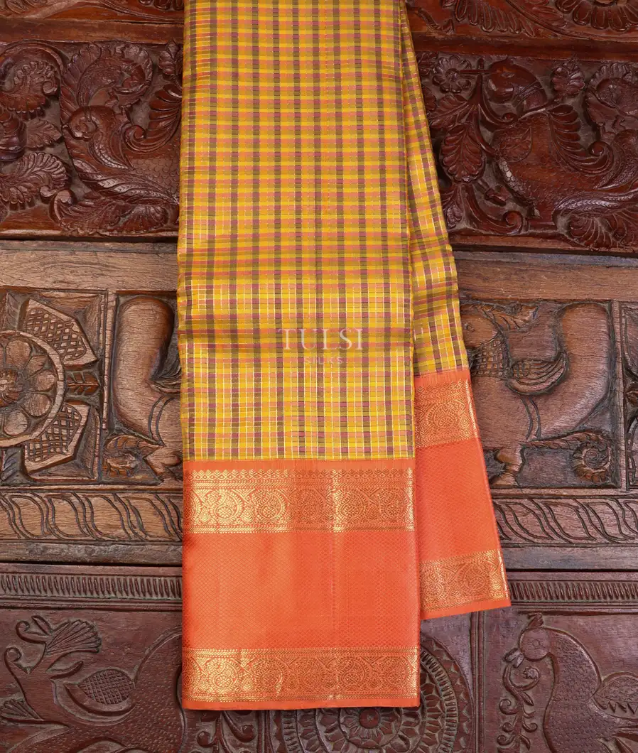 Multicolour Kanjivaram Silk Saree T628917-image