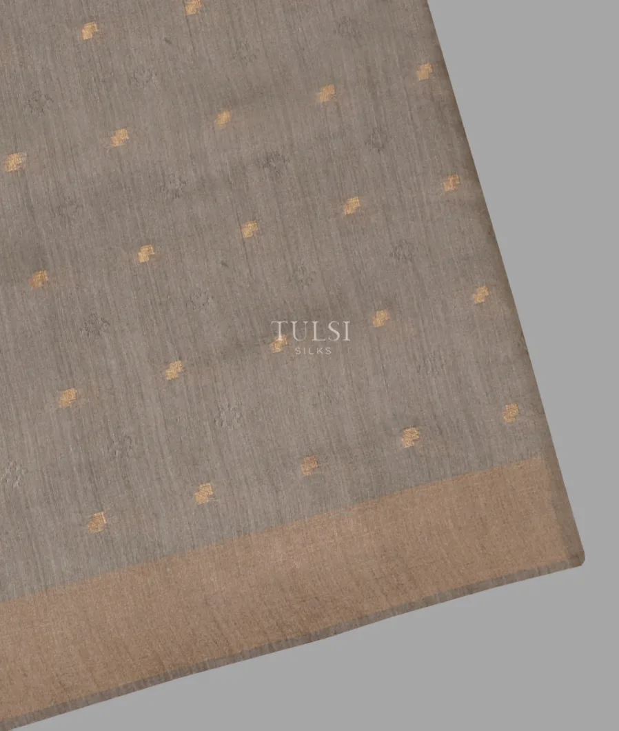 Grey Handwoven Tussar Saree T609218-image
