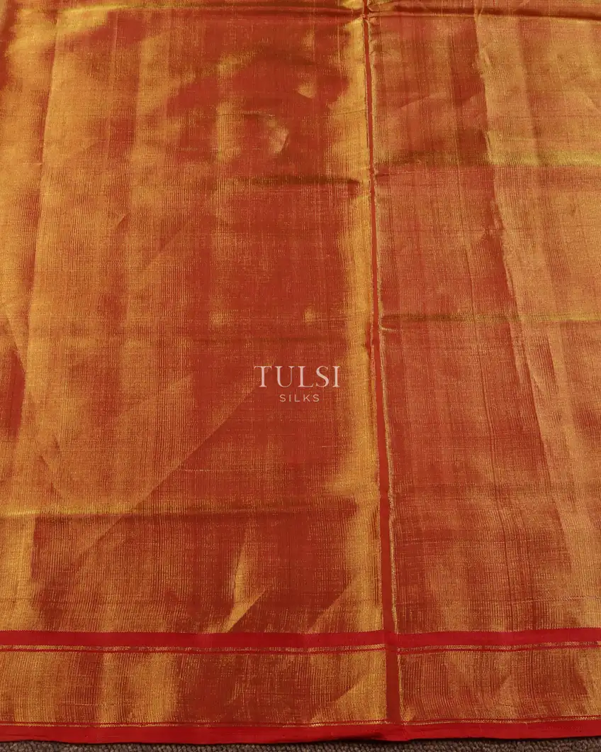 blue-tissue-patola-silk-saree-t604837-t604837-c