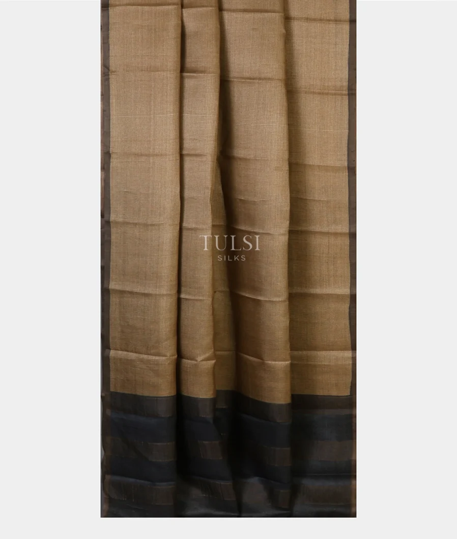 beige-woven-tussar-saree-t636540-t636540-b