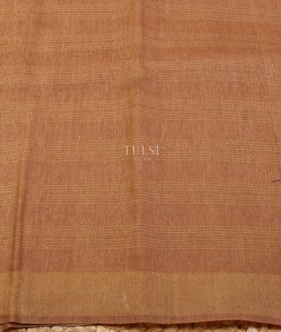 brown-woven-tussar-saree-t558189-t558189-c