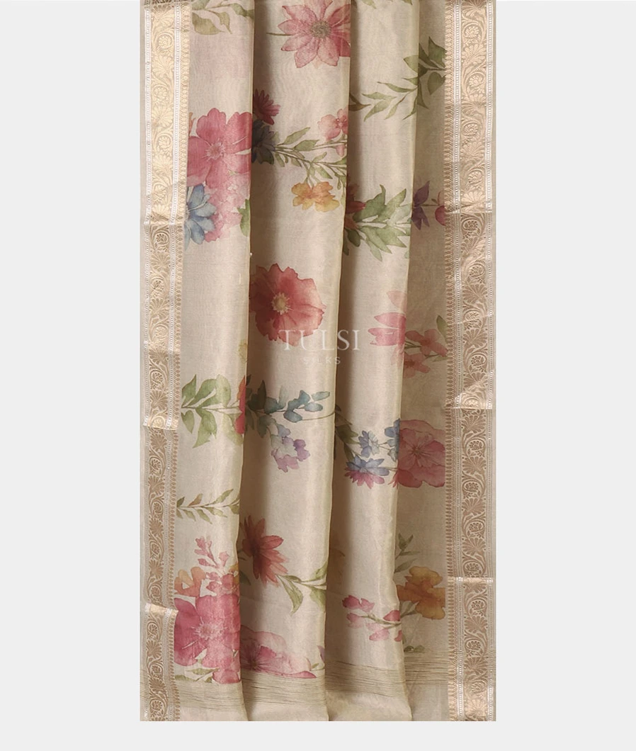 grey-tissue-banaras-cotton-saree-t636861-t636861-b