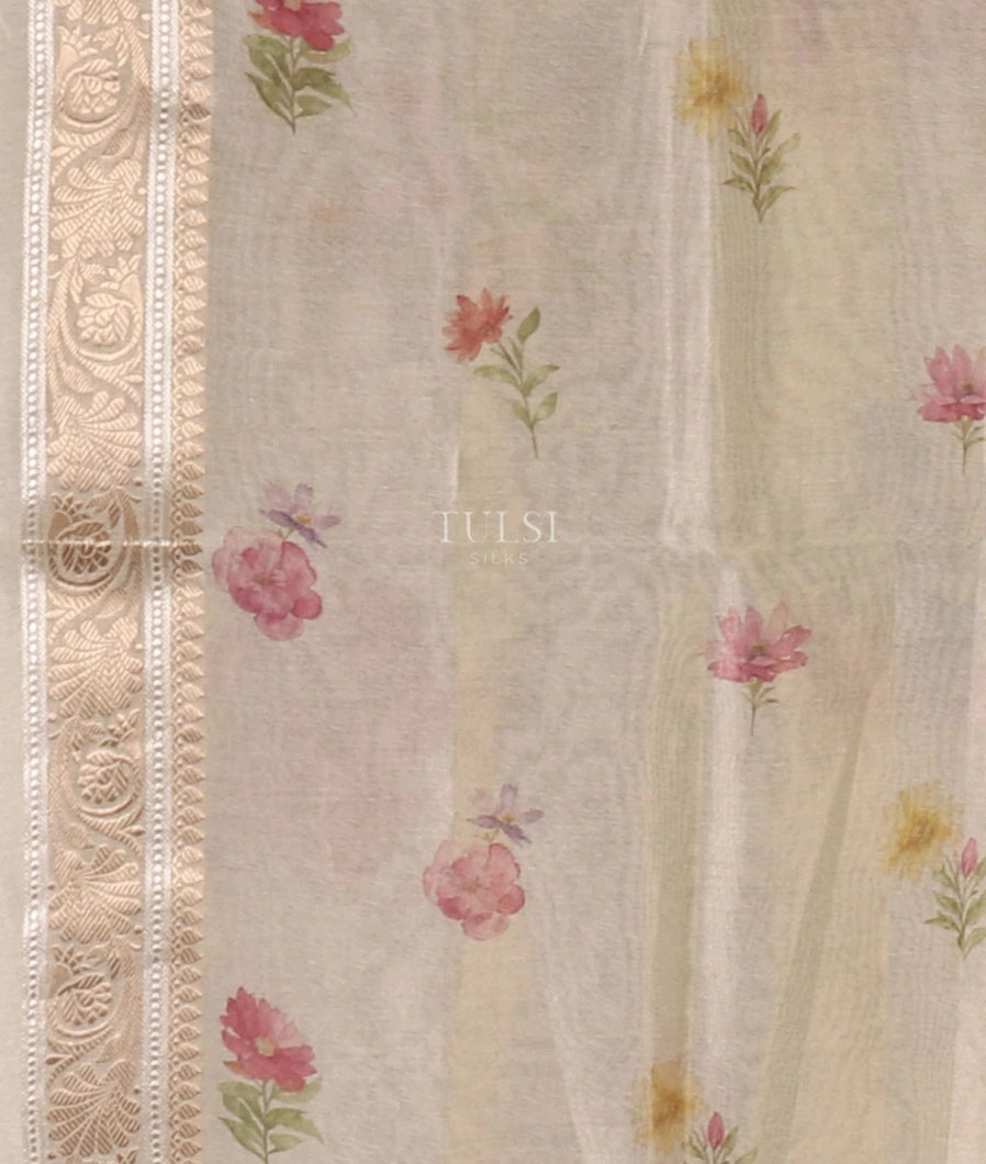 grey-tissue-banaras-cotton-saree-t636861-t636861-c