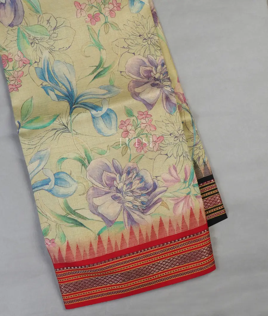Greenish Beige Vidarbha Tussar Saree T618995-image