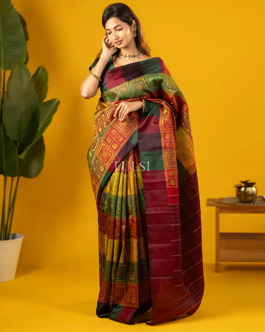 Multicolour Kanjivaram Silk Saree T627493-image