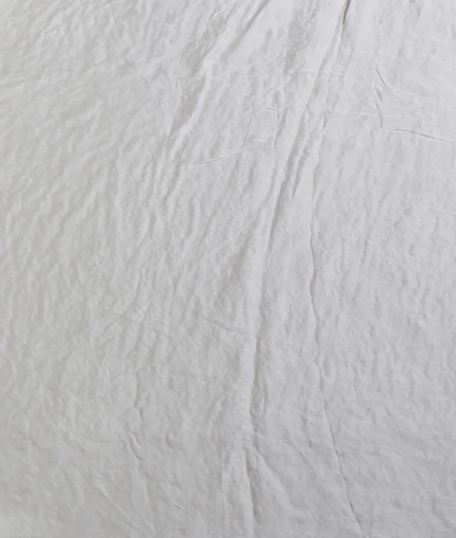 white-net-embroidery-saree-t621841-t621841-c