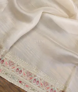 light-beige-kora-organza-embroidery-saree-t640074-t640074-d